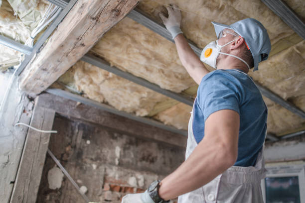 Best Geographic-Specific Insulation Services in Auburn, IN
