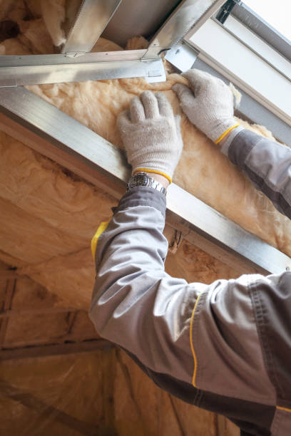 Best Insulation Maintenance and Repair in Auburn, IN
