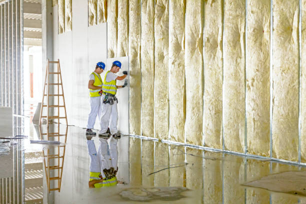 Best Specialized Insulation Services in Auburn, IN